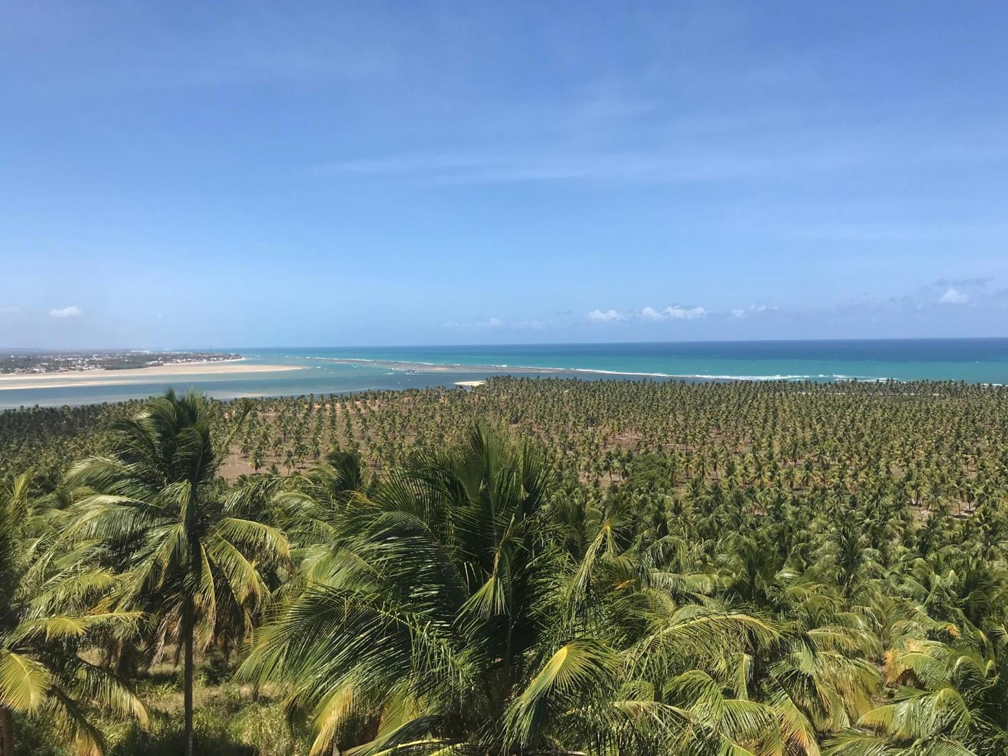 Hilton Garden Inn Maceio Exteriér fotografie